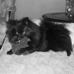 Meet your Posher, Tanya